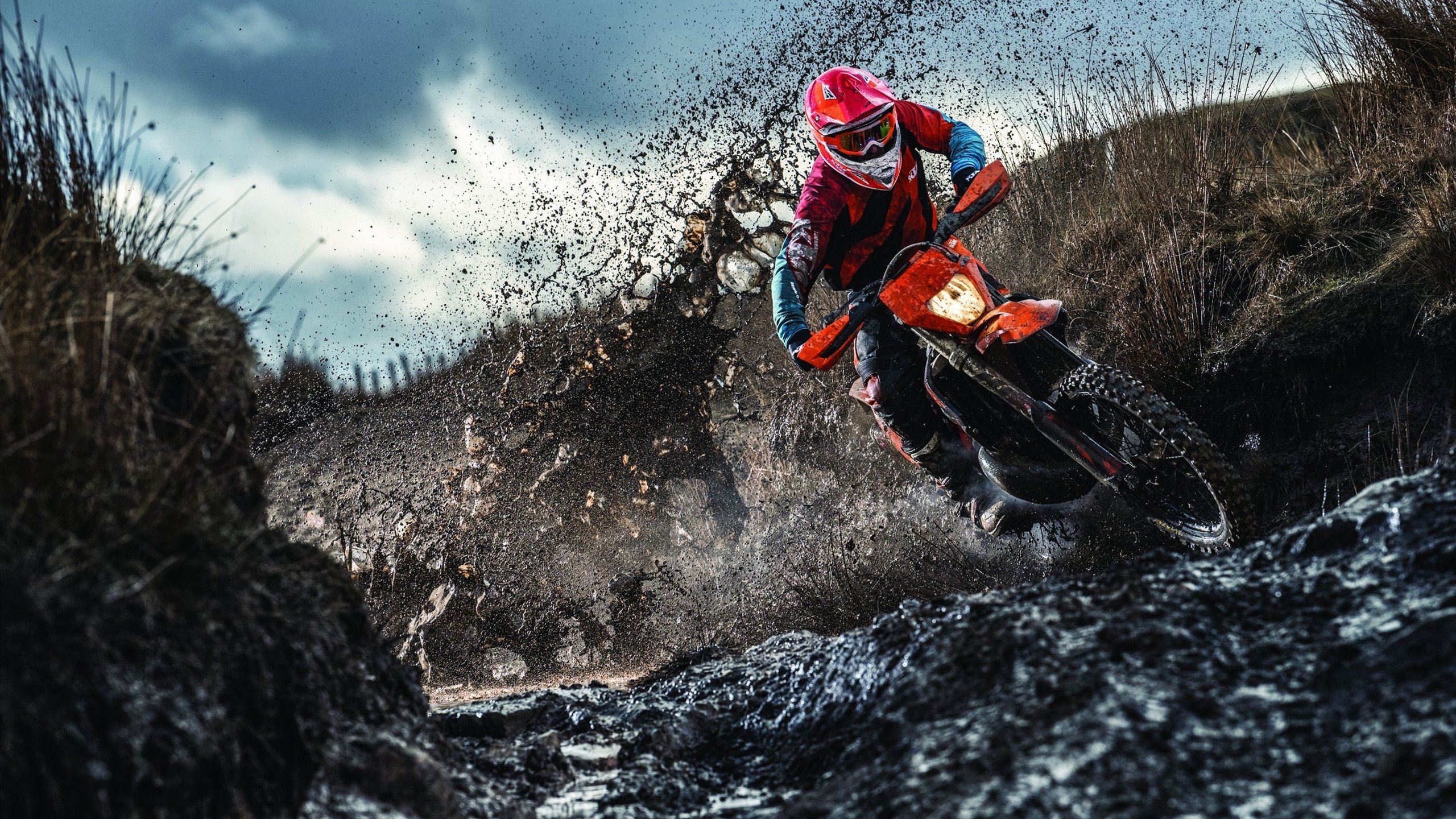 凯恩一剑封喉，当克罗地亚的悲情遇上荷兰的遗憾